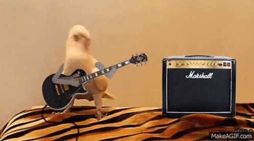Bird with a guitar rocking out