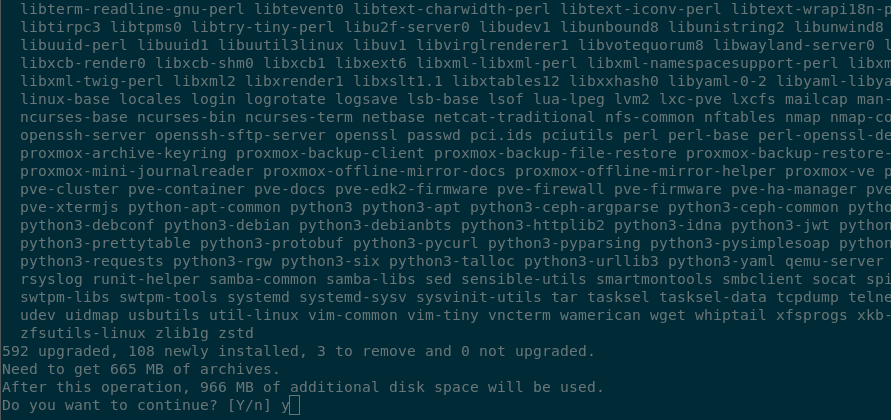 Terminal output of the apt dist-upgrade command requesting confirmation to upgrade the packages