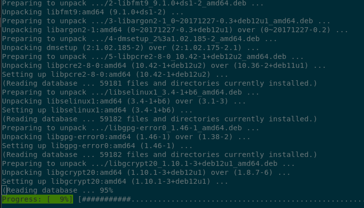 Terminal output showing the progress of the upgrades is at 9%